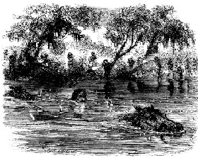 Hickok and his horse in the water