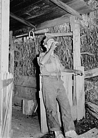 Miner drinking