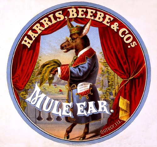Mule Ear Tobacco