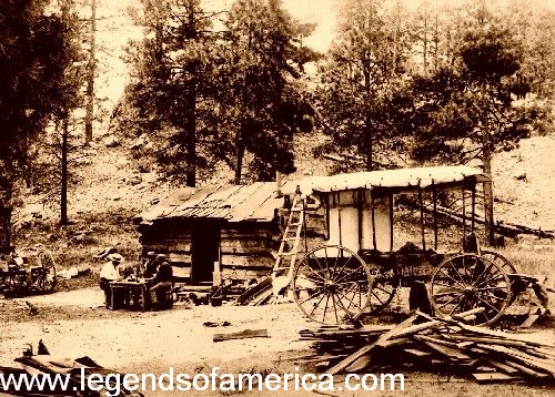 Playing poker in the woods