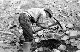 Prospector