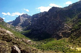 Ruby Mountains