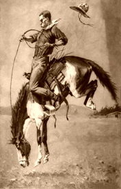 Bucking Bronco