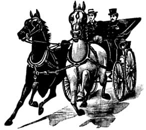 Couple in horse and buggy