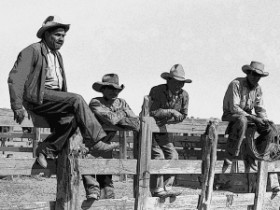 Cowboys on fence photo art