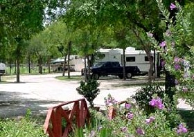 RV In the Forest