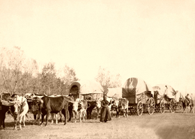 Freighting around 1890