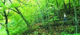 Hiker at Sica Hollow