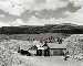 Tabor-Matchless_Mine.1953.DenverPublicLibrary.jpg (41x33 -- 0 bytes)