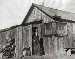 Tabor_BabyDoe_at_her_cabin.Oct6.1933.DenverPublicLibrary-TB.jpg (60x48 -- 1706 bytes)