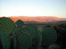 Big Bend Desert