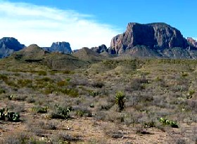 Chihuahaun Desert at Big Bend National Park.