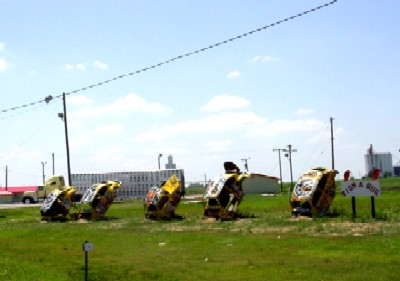 Bug Ranch, Conway, Texas