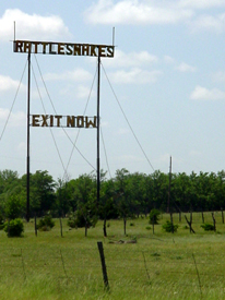 Rattle Snake Sign