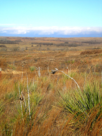 Texas Panhandle Plains