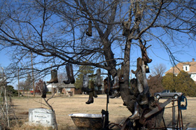Shoe Tree at Dot's Mini-Museum