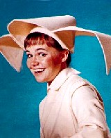 Sally Field as the Flying Nun