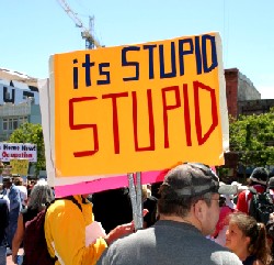 It's Stupid, stupid!