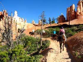 Bryce Canyon Utah