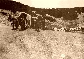 Mormon Pioneers
