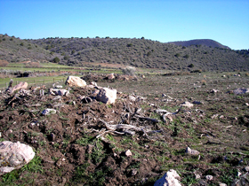 Mountain Meadows Massacre