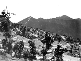 Wahsatch Mountains
