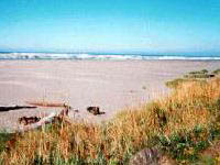 Pacific Beach State park