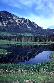 Shoshone National Forest