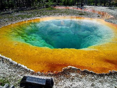 Morning Glory Pool at Yellowstone National Park