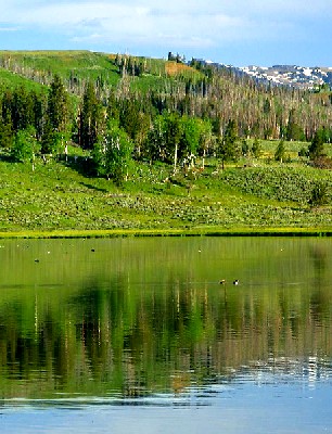 Swan Lake at Yellowstone National Park
