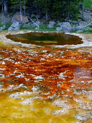 Thermal Pools at Yellowstone National Park
