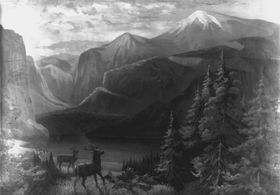 Yellowstone Valley.