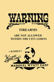 Warning - No Firearms Allowed Poster