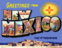 New Mexico Postcards