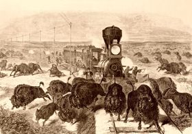 Shooting buffalo from the train