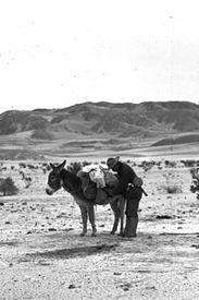 Desert Prospector