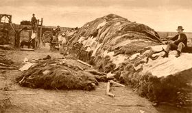 Dodge City Buffalo Hide Yard in 1878
