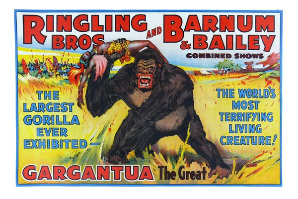 Ringling Brothers and Barnum Bailey Circus