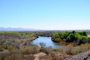 Colorado River, Yuma, Arizona by Kathy Alexander.