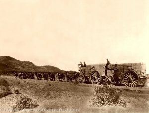 20-mule team Death Valley, 1890