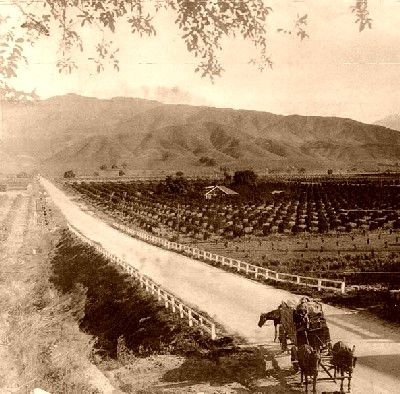 San Gabriel Valley, 1900