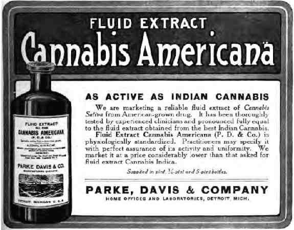 Cannabis Fluid Extract