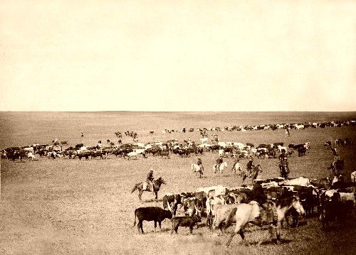 Round Up at Belle Forche, South Dakota, by John C. H. Grabill, 1887.