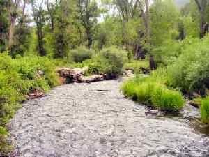 Tolby Creek in Cimarron Canyon, Kathy Weiser-Alexander.