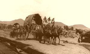Mexican Wagons