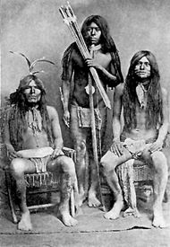 Comanche warriors