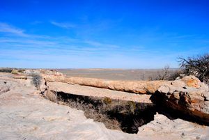 Agate Bridge at the Petrified Forest National Park