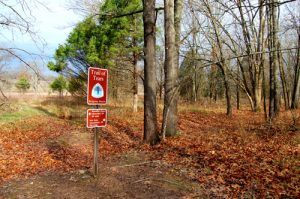 Trail of Tears at Pea Ridge, Arkansas by Kathy Alexander.