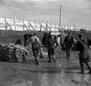 Piling sandbags along the levee flood. Cairo, Illinois, Lee Russell, 1937
