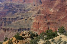 Grand Canyon View-Fisk